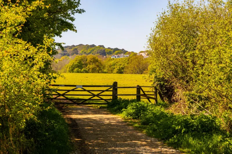 Pay the Toll: Why Your Deployment Pipeline Needs More Gates, Not Fewer